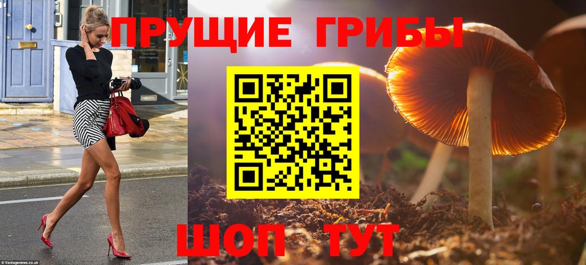Галлюциногенные грибы прущие грибы Черкесск