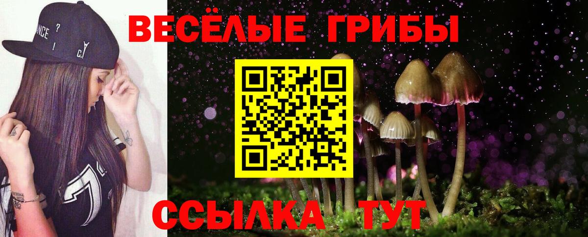 Псилоцибиновые грибы ЛСД  Псилоцибиновые грибы мицелий  Вход с VPN  Черкесск 